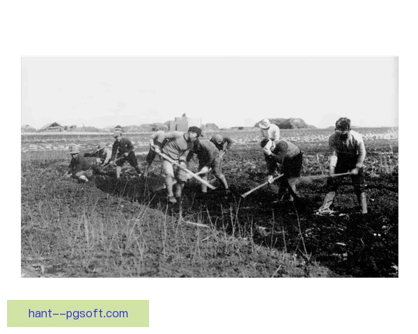 卡斯特列托防线坚固可靠抵御外敌入侵能力分析